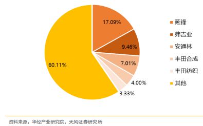 《汽车内外饰产业专题报告》钛祺智库报告分享(图14)